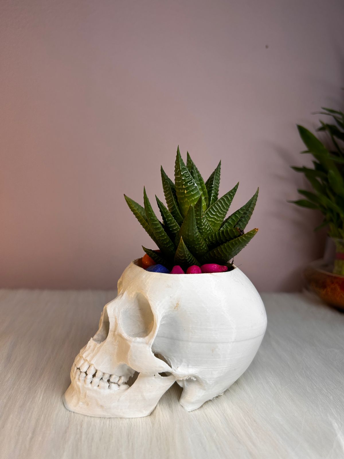 Skull-Shaped 3D Printed Planter (Pot Only)