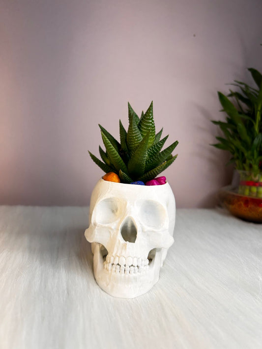 Skull-Shaped 3D Printed Planter (Pot Only)